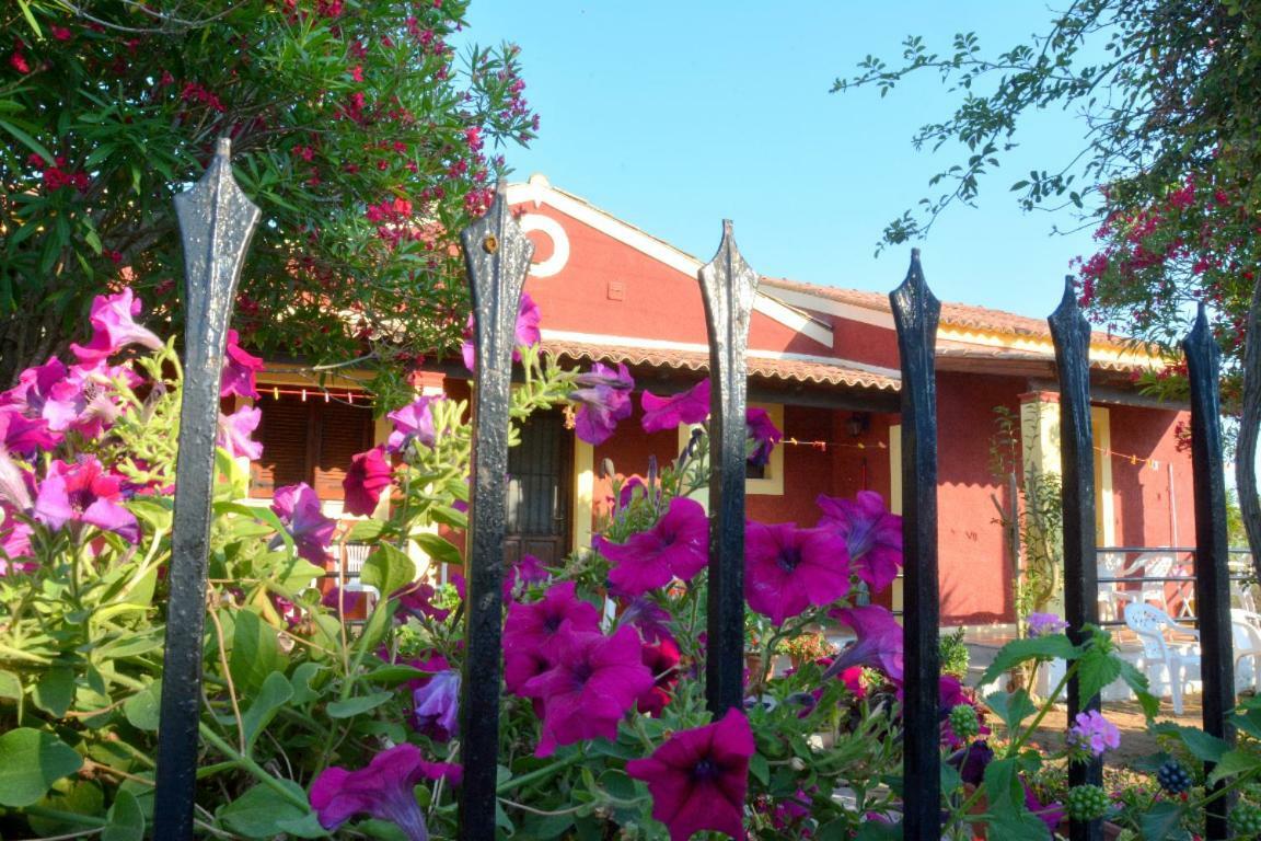 Issos Apartments Агиос-Георгиос Экстерьер фото